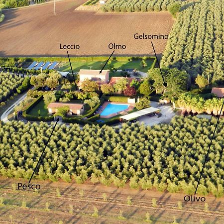 Podere Campi Al Mare Donoratico Exteriör bild