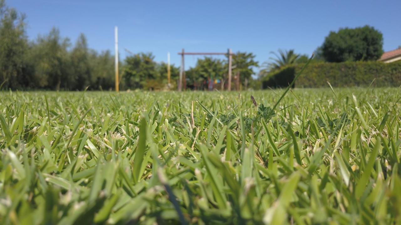 Podere Campi Al Mare Donoratico Exteriör bild