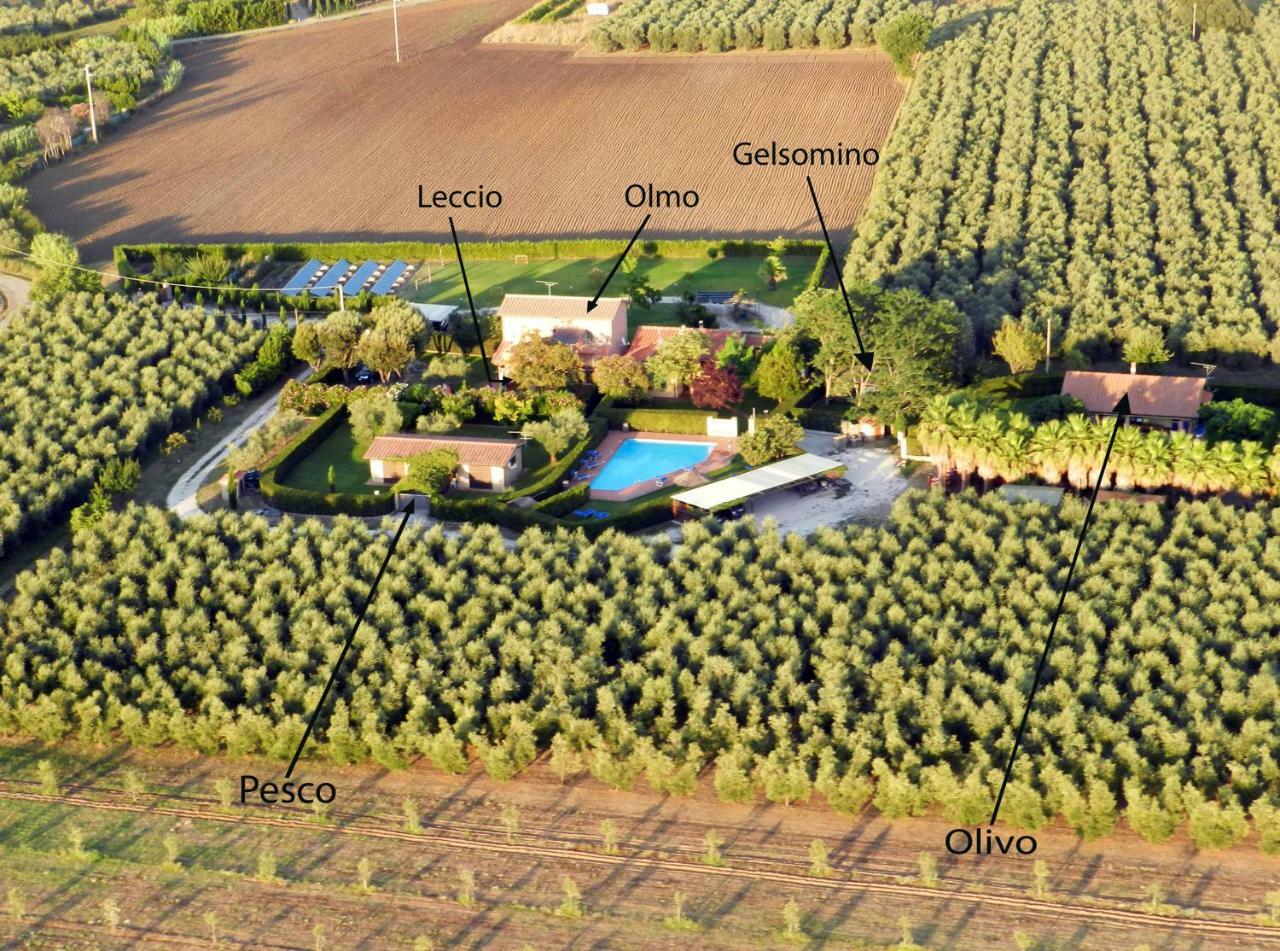 Podere Campi Al Mare Donoratico Exteriör bild